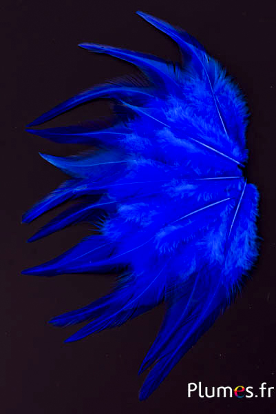 Coq - 8-12 cm - bleu